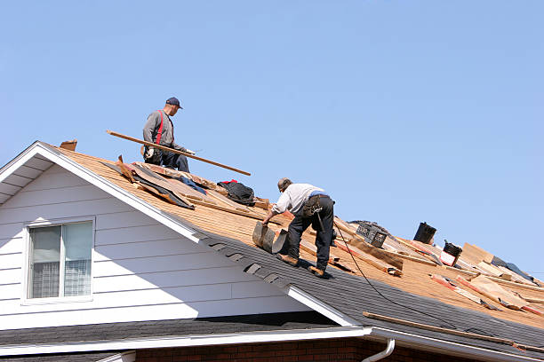 Best Emergency Roof Repair Services  in Kendall Park, NJ